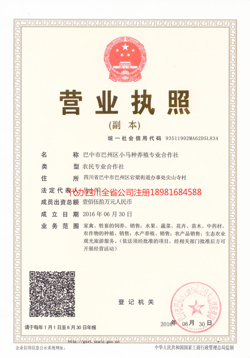 满洲里满洲里小马种养殖专业合作社